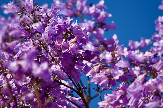 Commercial Lawyers Melbourne